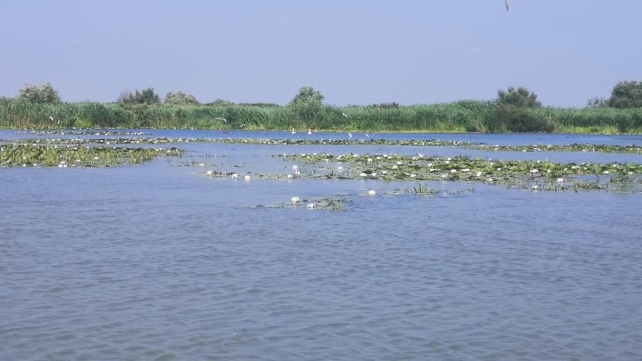 Gorgova Delta Village Экстерьер фото