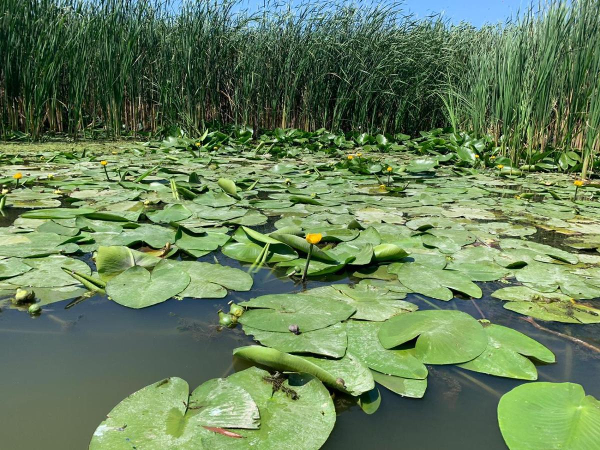 Gorgova Delta Village Экстерьер фото